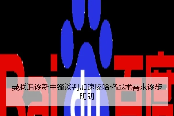 曼联追逐新中锋谈判加速滕哈格战术需求逐步明朗