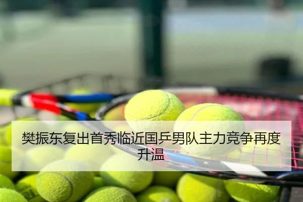 樊振东复出首秀临近国乒男队主力竞争再度升温