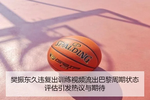 樊振东久违复出训练视频流出巴黎周期状态评估引发热议与期待